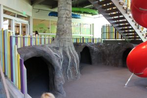 Interactive, immersive exhibit for Butterfly Biosphere