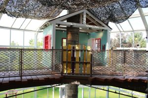 immersive, interactive exhibit in Butterfly Biosphere