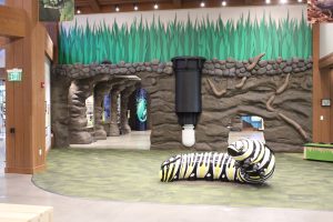 immersive, interactive exhibit for Butterfly Biosphere