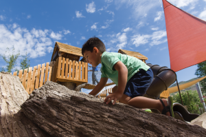 large playscape for zoo