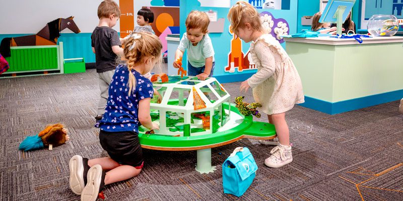 turtle exhibit for library exhibit