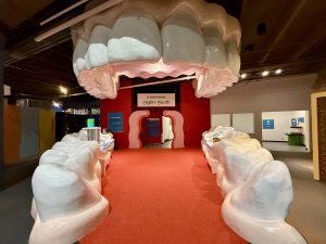 Mighty Mouth Dental Exhibit