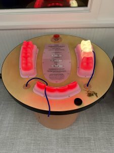 Mighty Mouth Dental Exhibit